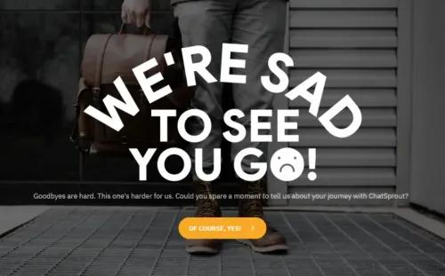 Customer Exit Survey Template Customer Exit Survey Template