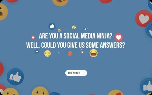Social Media Questionnaire Template Social Media Questionnaire Template