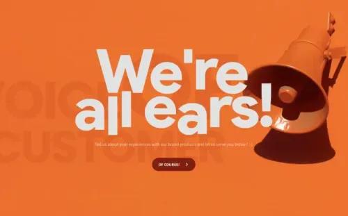 Voice of Customer Survey Template Voice of Customer Survey Template